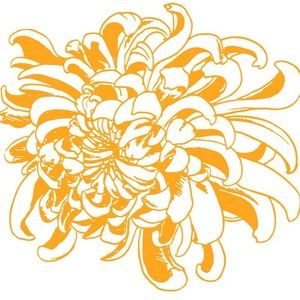 Meet your Posher, Ellie